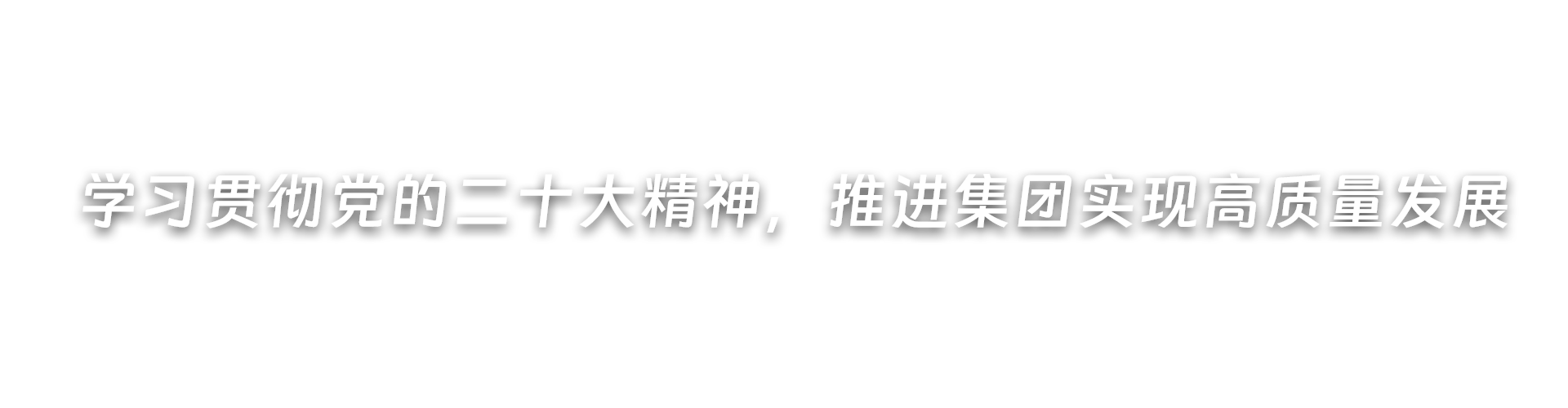 深入开展党纪学习教育，推进集团高质量发展